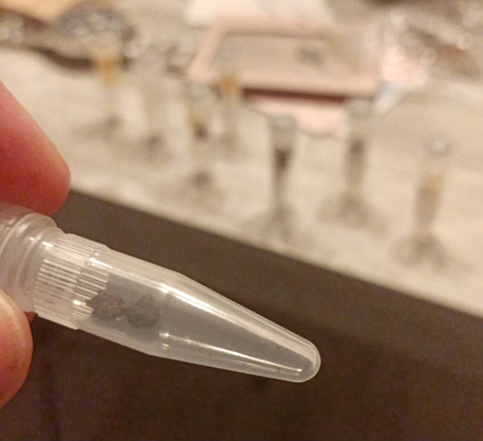 Man holding a vial of musk with laboratory in the background