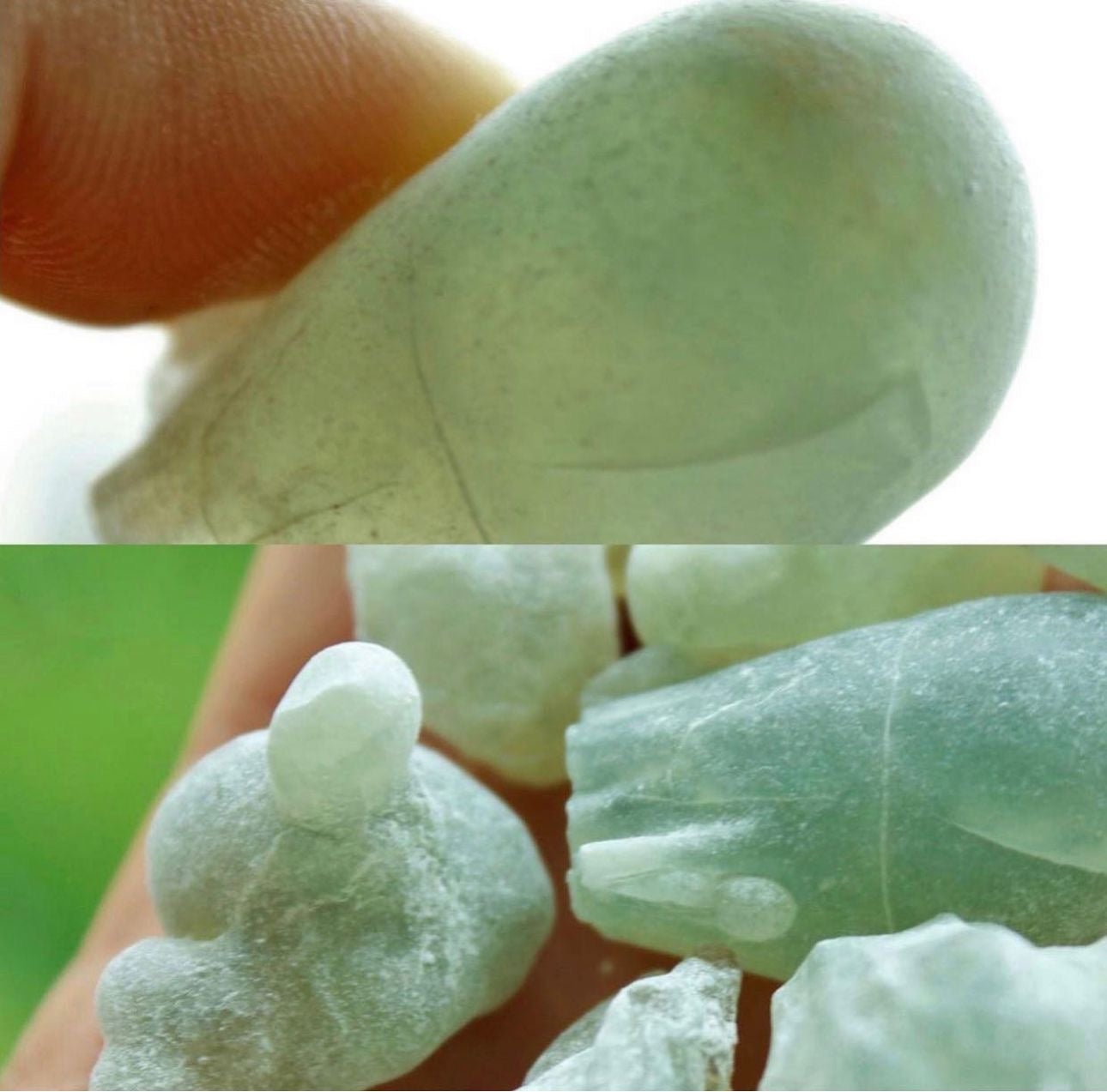 Sultan grade Hojari Omani frankincense tears