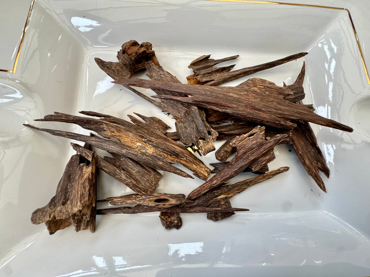 Nagaland Hindi Agarwood Chips