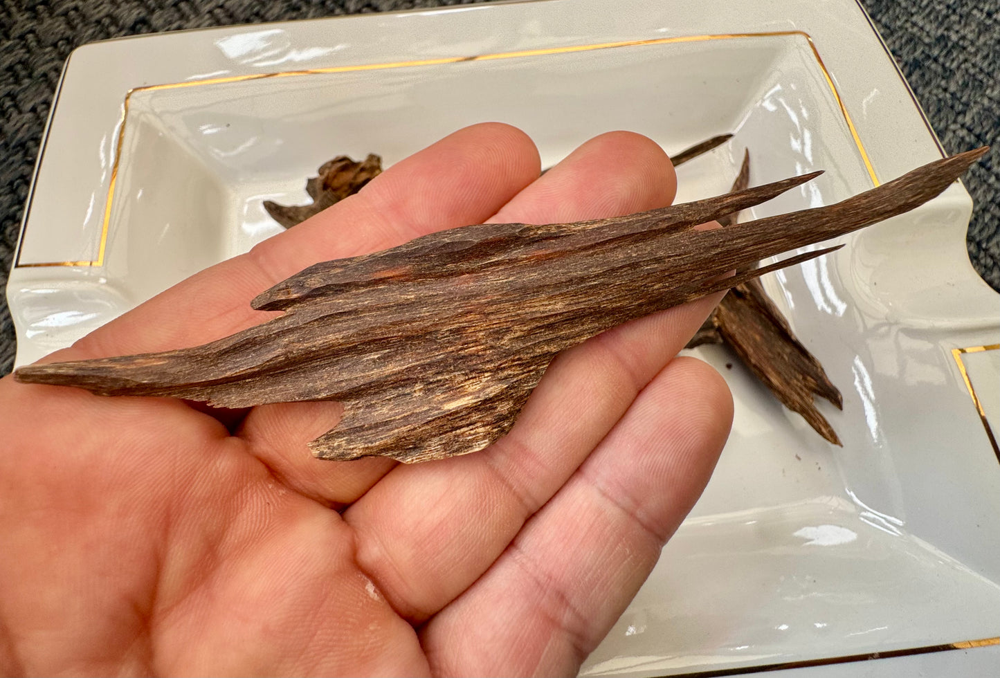 Nagaland Hindi Agarwood Chips