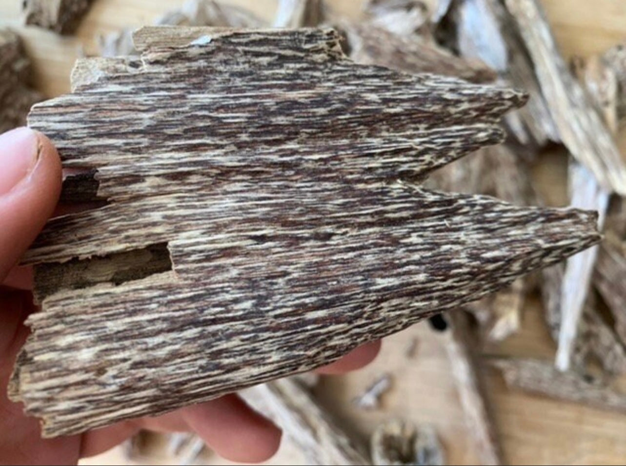 A Grade Vietnamese Organic Ant Nest Agarwood Chips