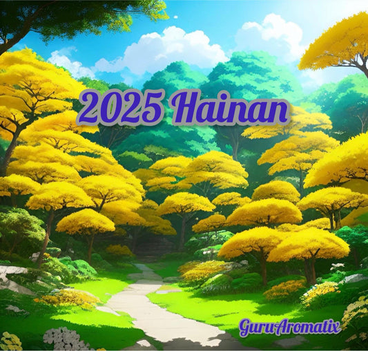 2025 Hainan Oud