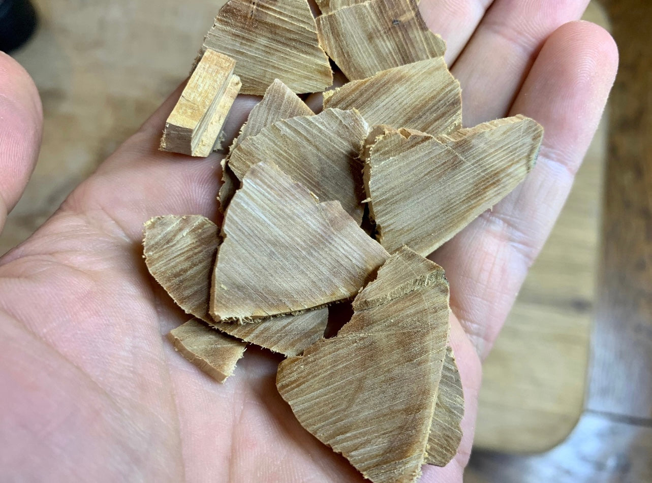 Are you man, holding chips of east Timor Sandalwood