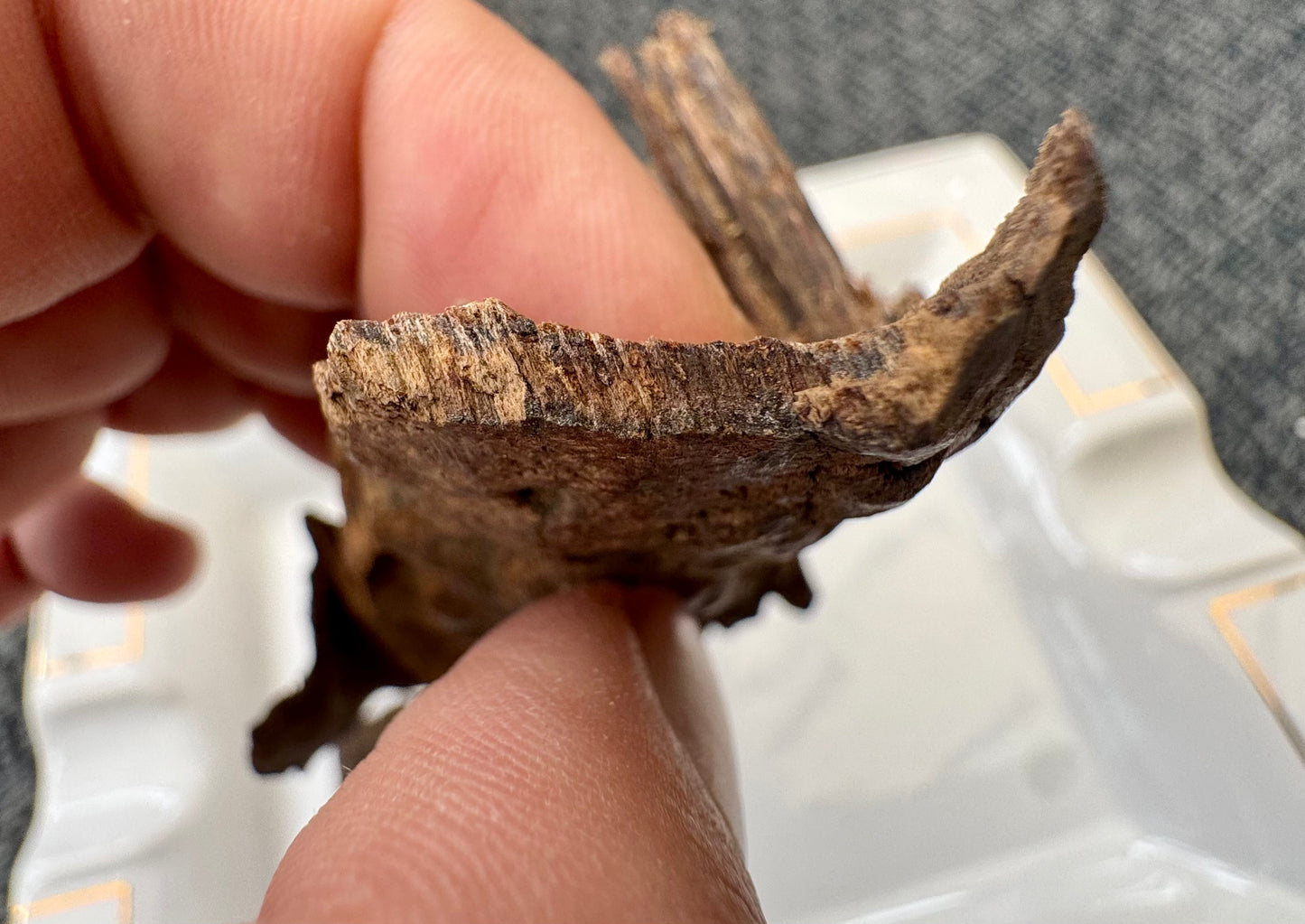 Assam / Bhutan Boarder Char