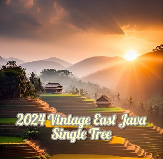 2024 Single Tree Vintage East Java Sandalwood Oil (Santalum Album)
