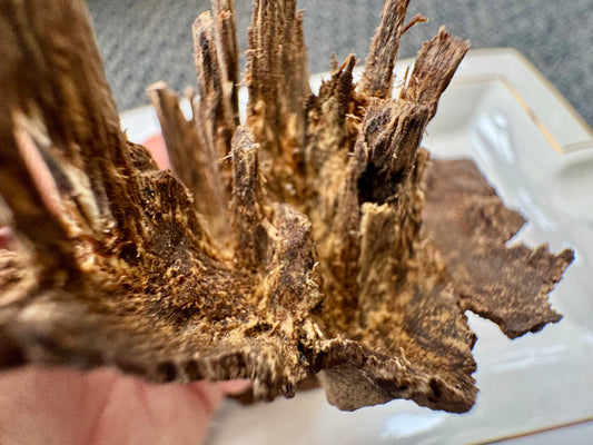 Assam / Bhutan Boarder Char