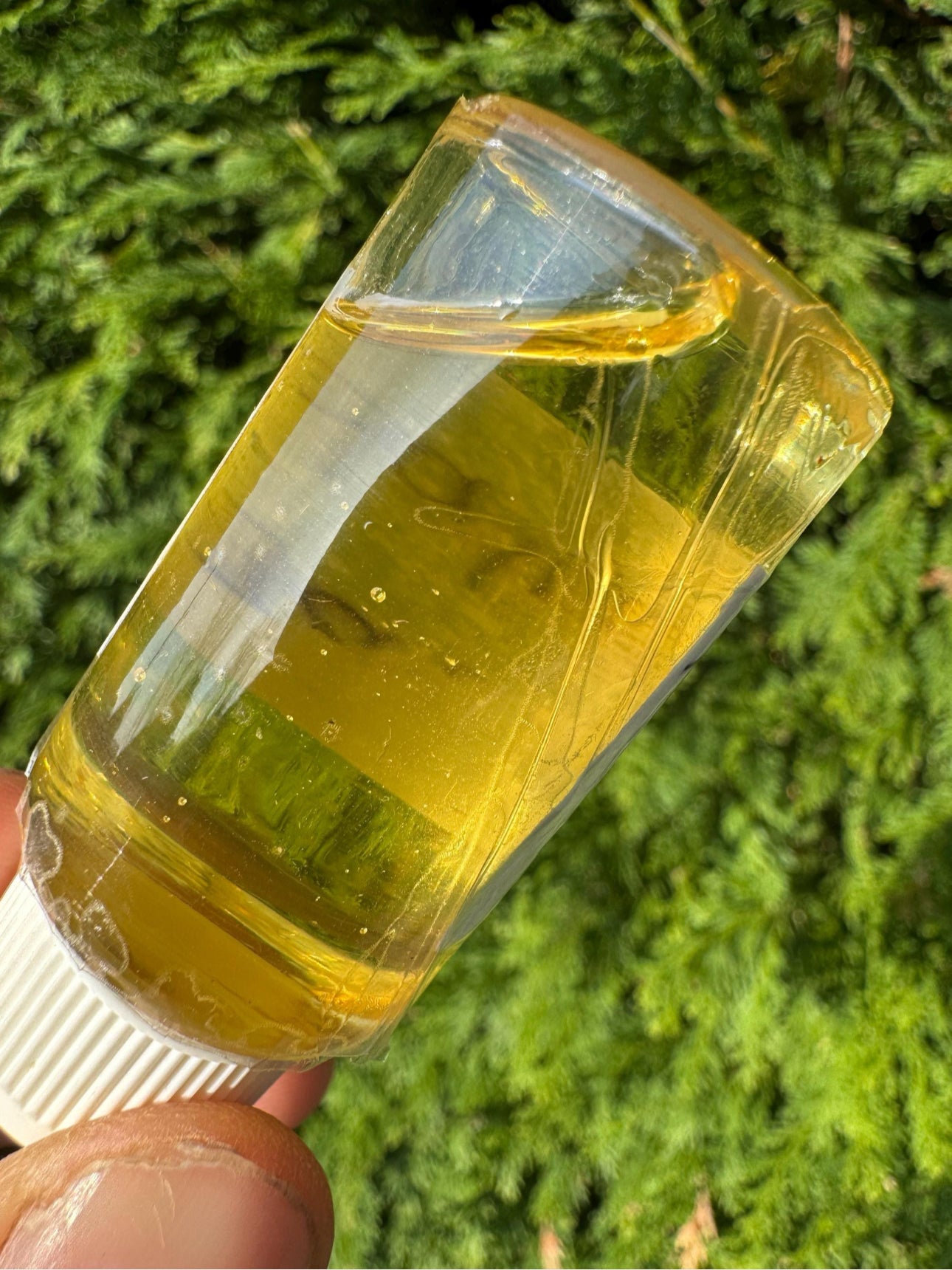 2024 Single Tree Vintage East Java Sandalwood Oil (Santalum Album)