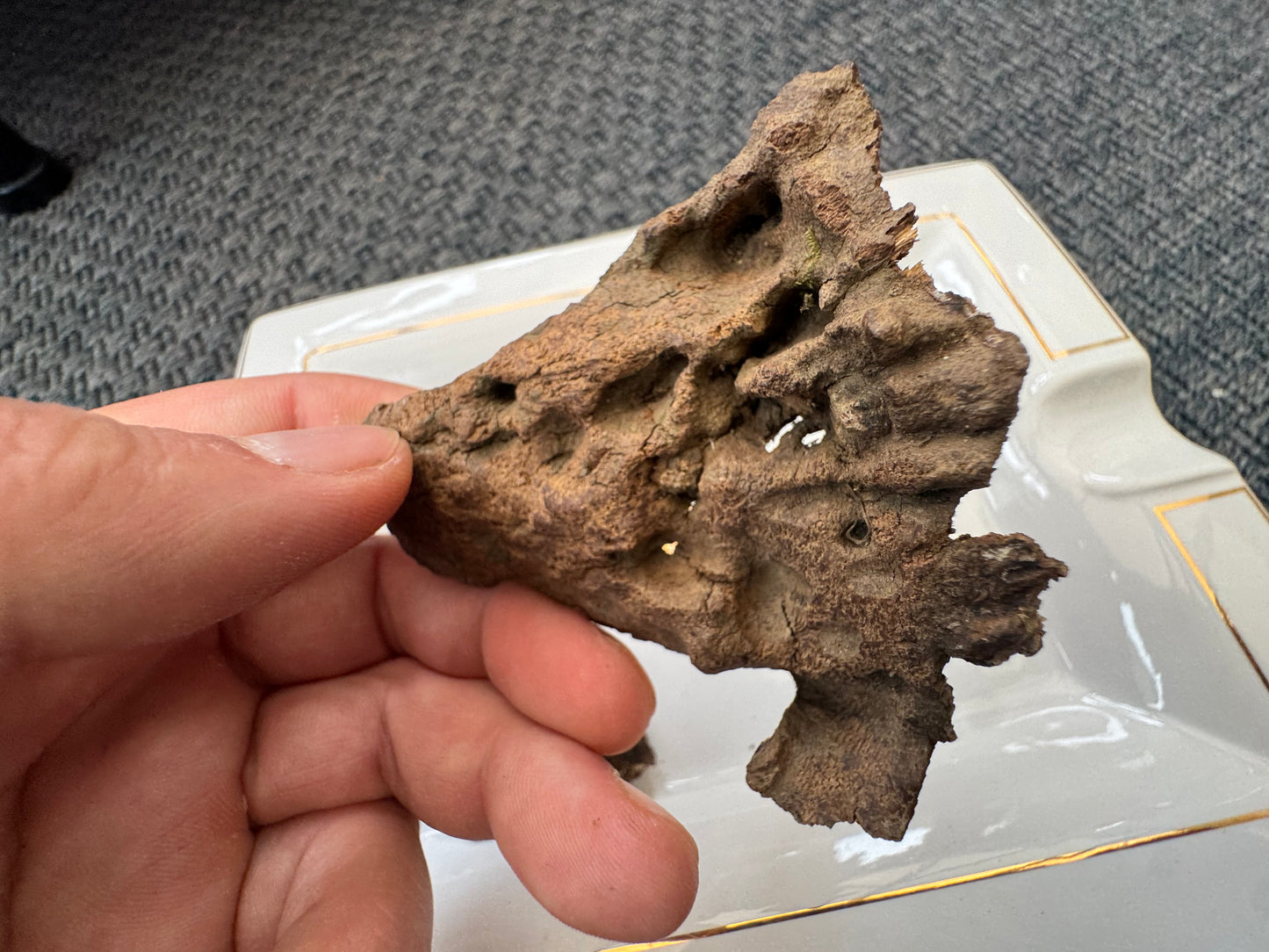 Assam / Bhutan Boarder Char