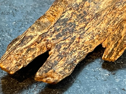 Close up of a chip of wild Agarwood on a grey table