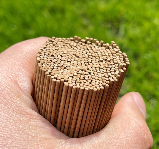 A man holding a bunch of artisan incense sticks outside with grass in the background 