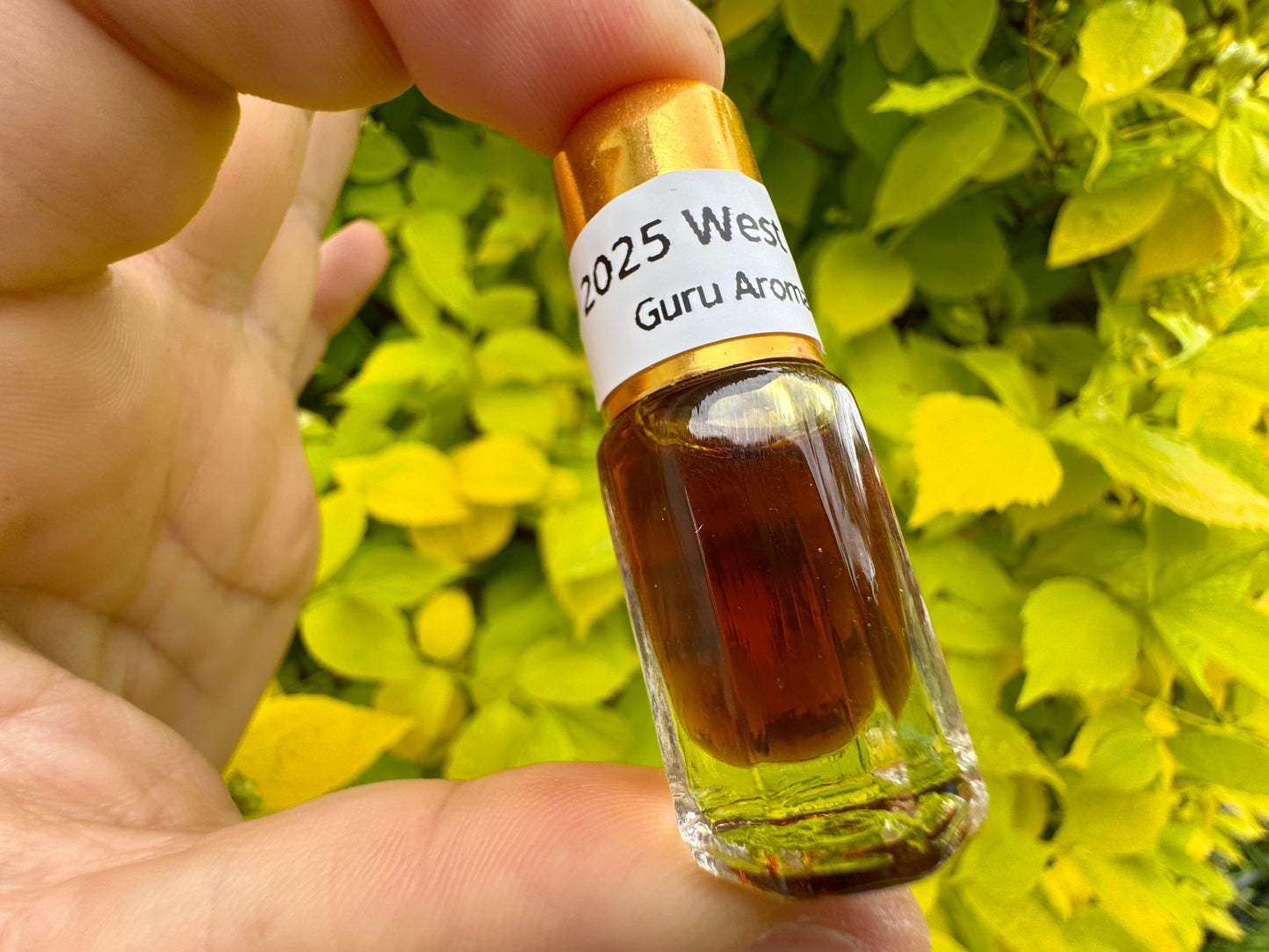 2025 West Malay Oud