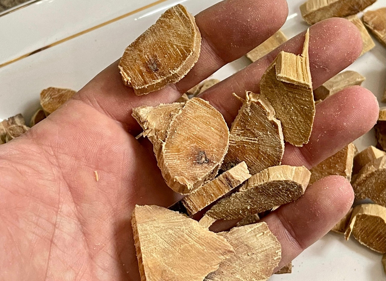 Man holding Sandalwood chips for burning incense