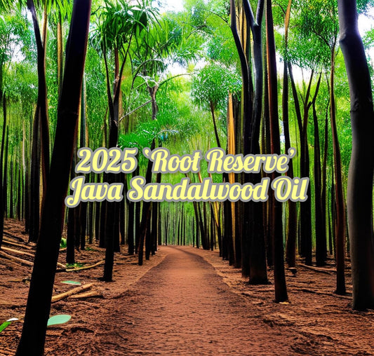 2025 ‘Root Reserve’ Java Sandalwood Oil