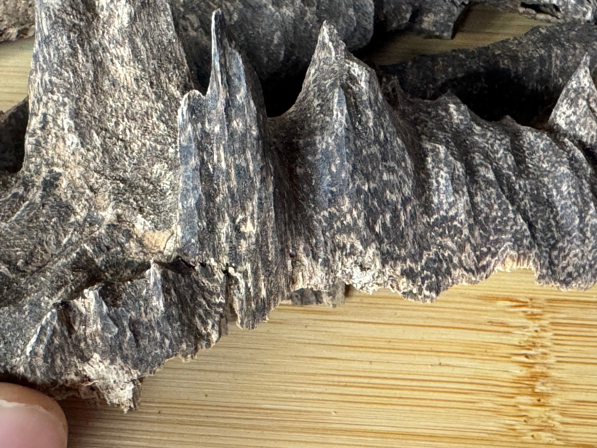 Wild Bhutan char Agarwood chips on a table 