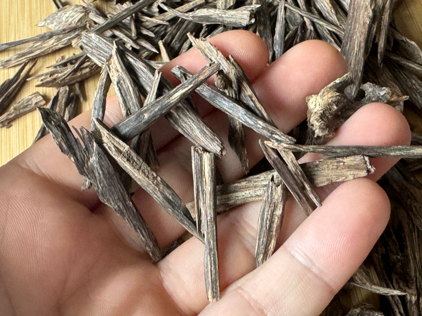 Man holding Wild Hindi Agarwood chips and more in background on a table 