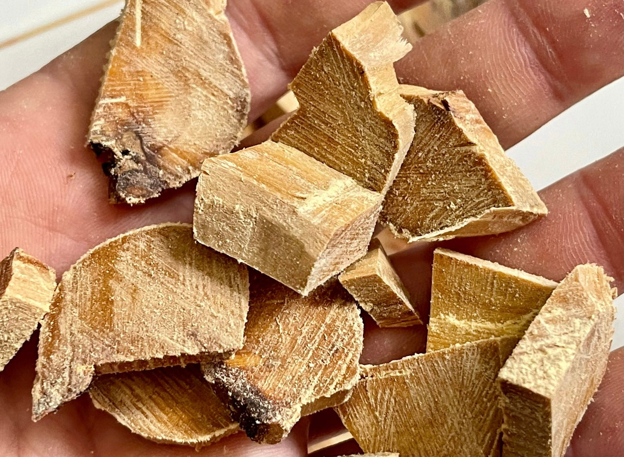 Close up of wild, Sandalwood chips cut for incense burning