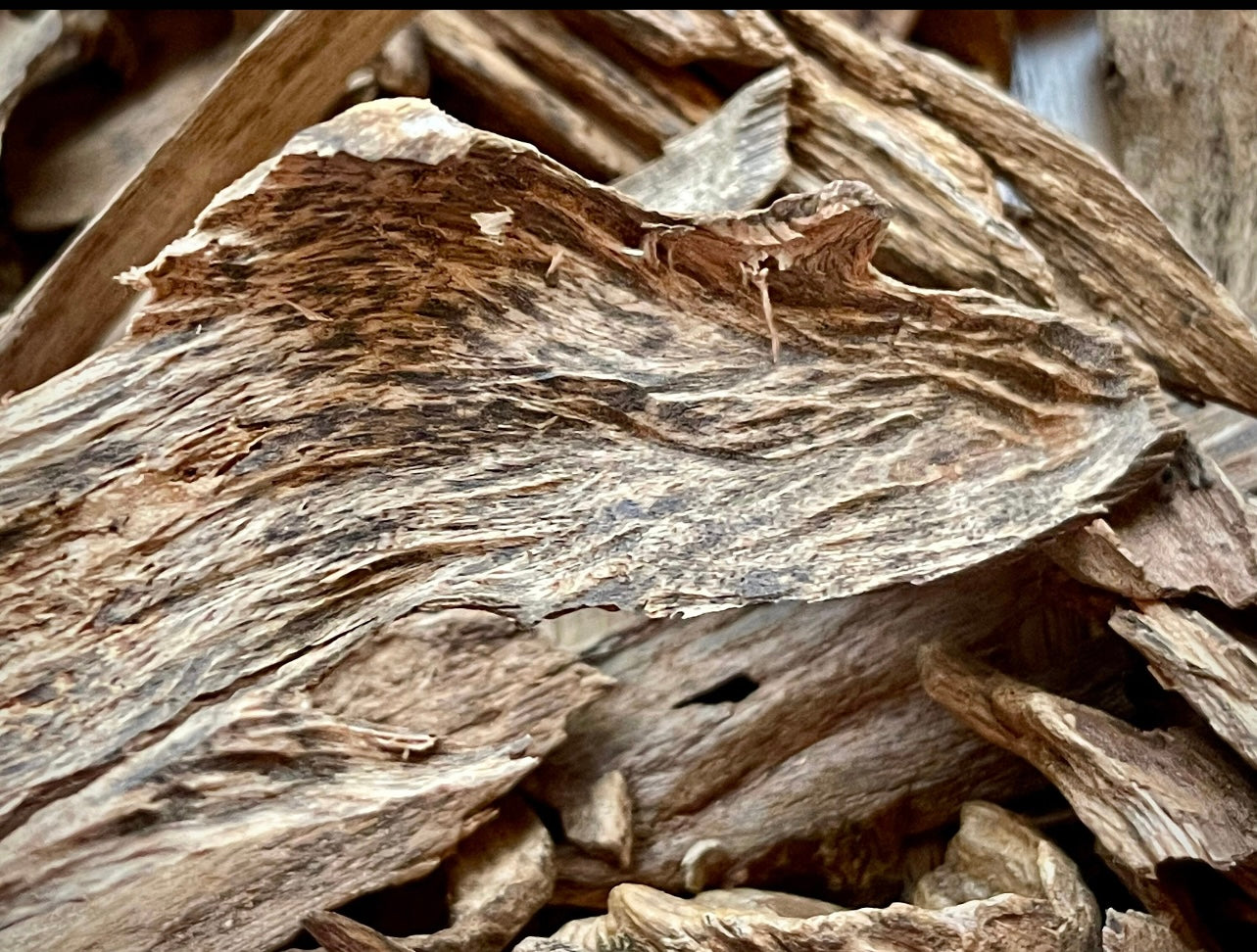 Chips de bois d'agar de Papouasie (lot 2)