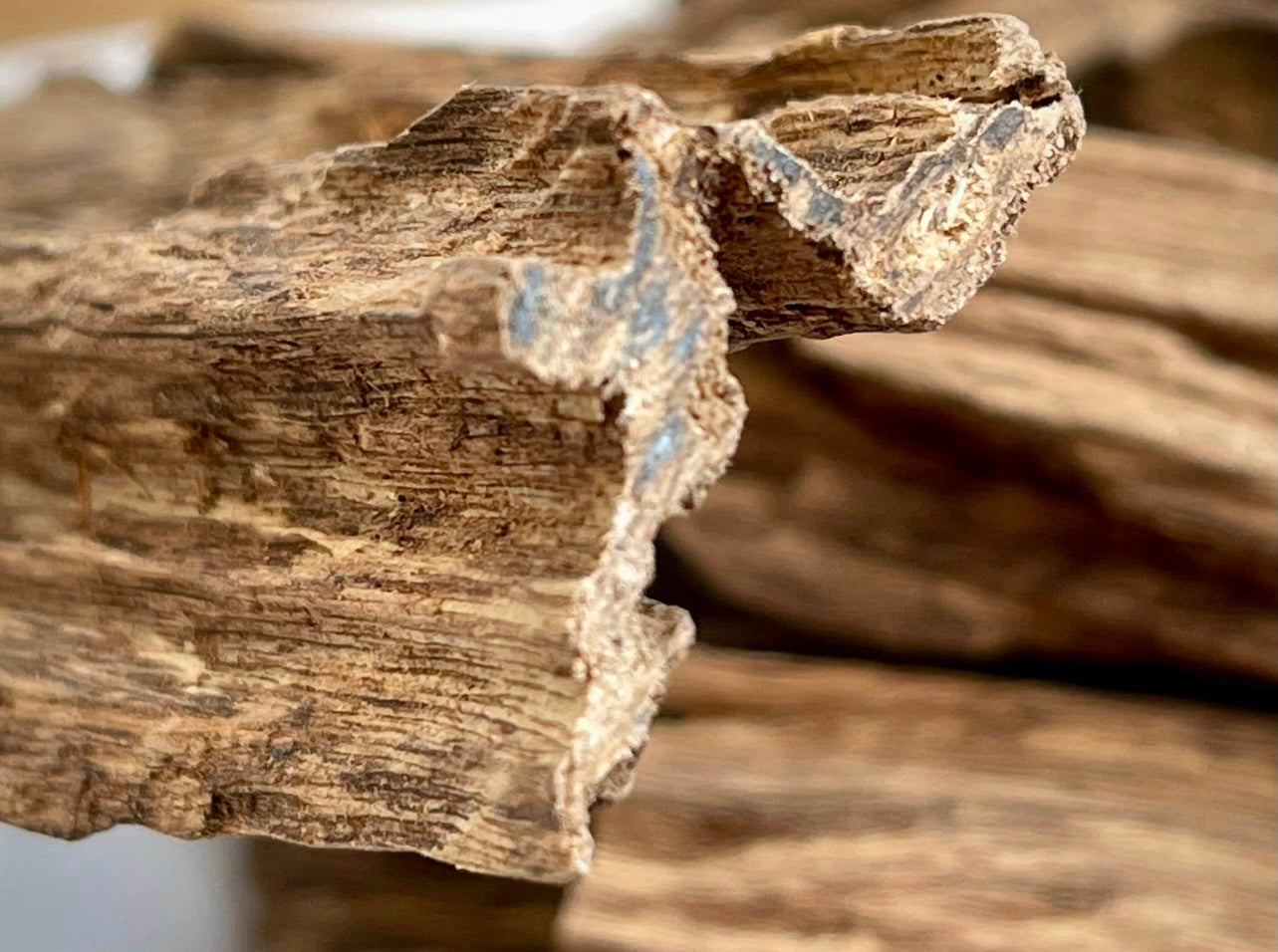 Super close off of Sri Lanka Agarwood chips