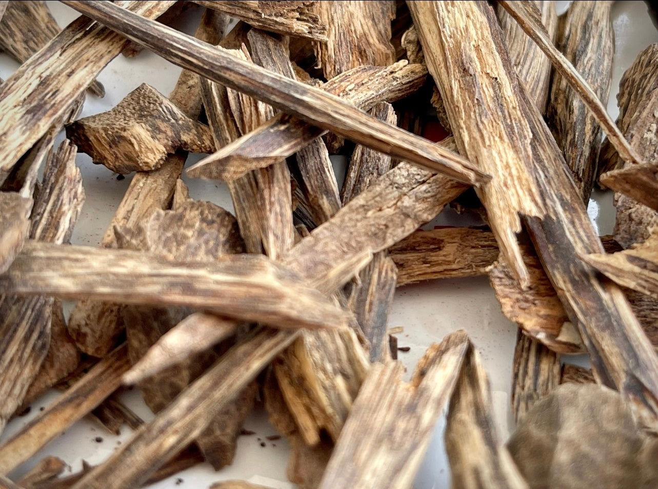 Close up of sinking grade Sri Lankan Agarwood on a plate