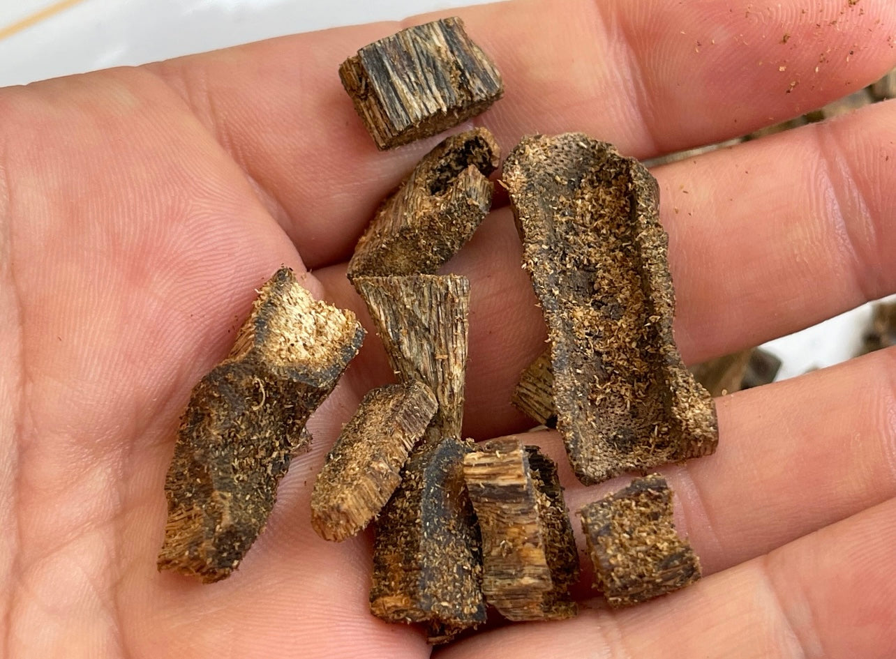 Man holding Hainan island, white cultivated Kinam pieces