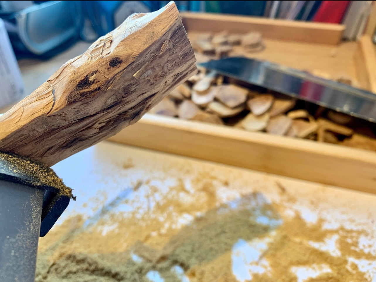 A log of Sandalwood in a vice cutting with a Japanese saw to make chips for burning incense