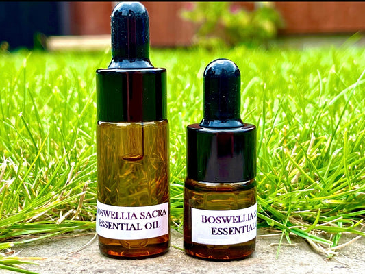 Two bottles of Boswellia Sacra frankincense essential oil on the grass
