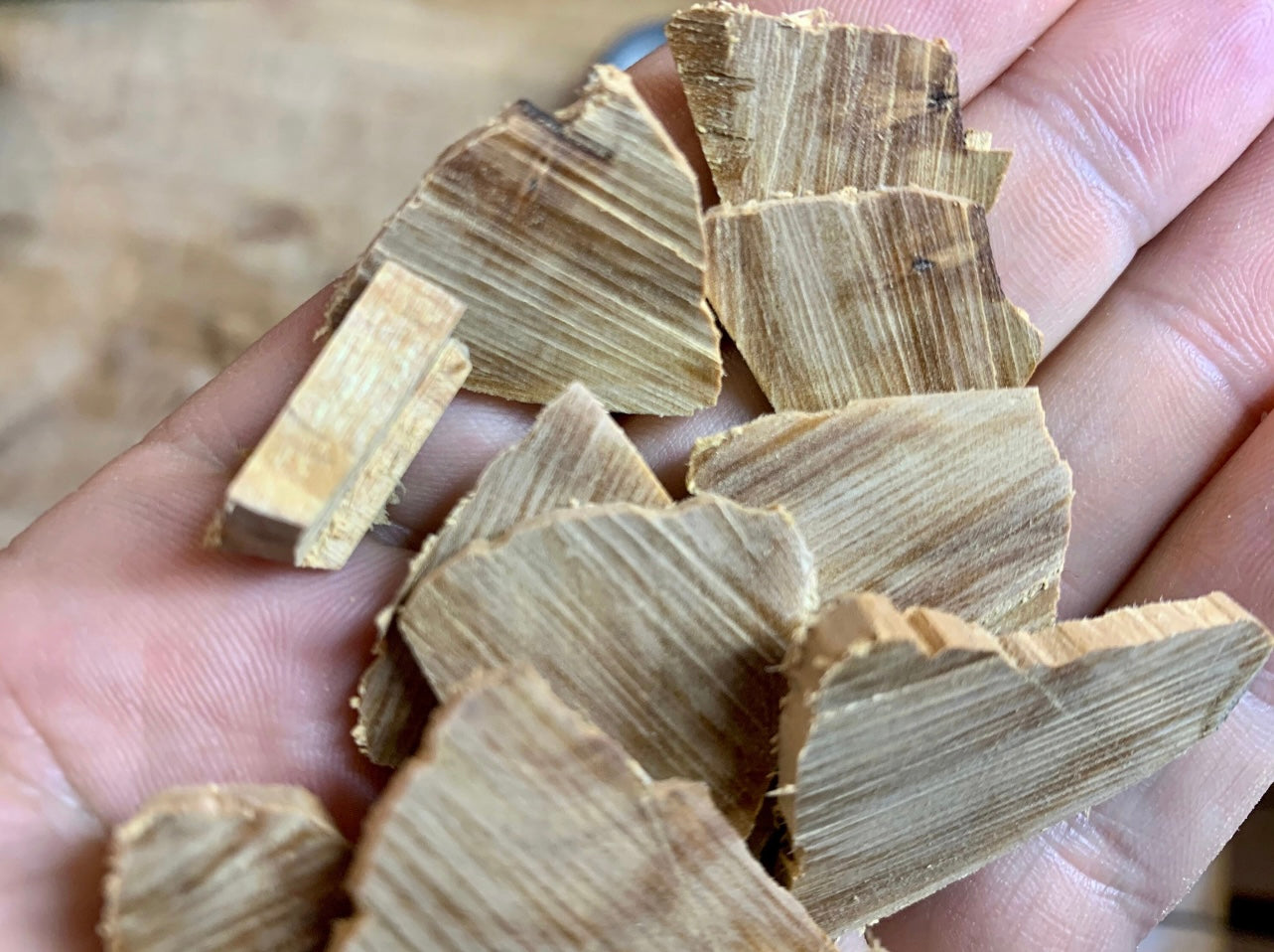 Chips de bois de santal du Timor oriental