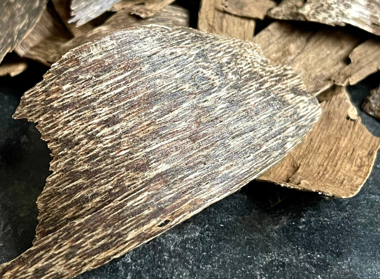 Close up of Trat Thailand, Agarwood pieces