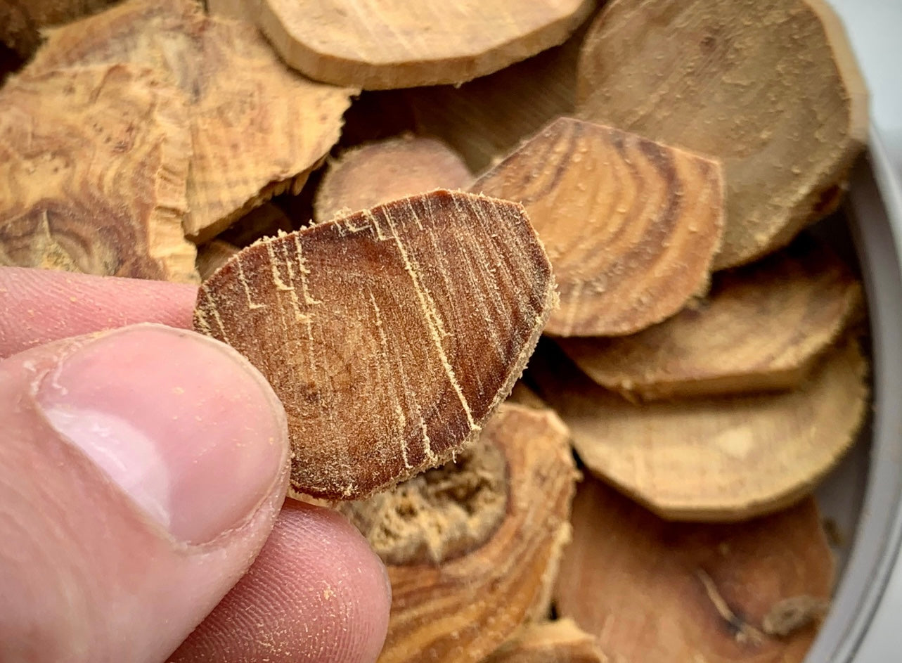 Man holding a chip of wild Sandalwood for incense burning