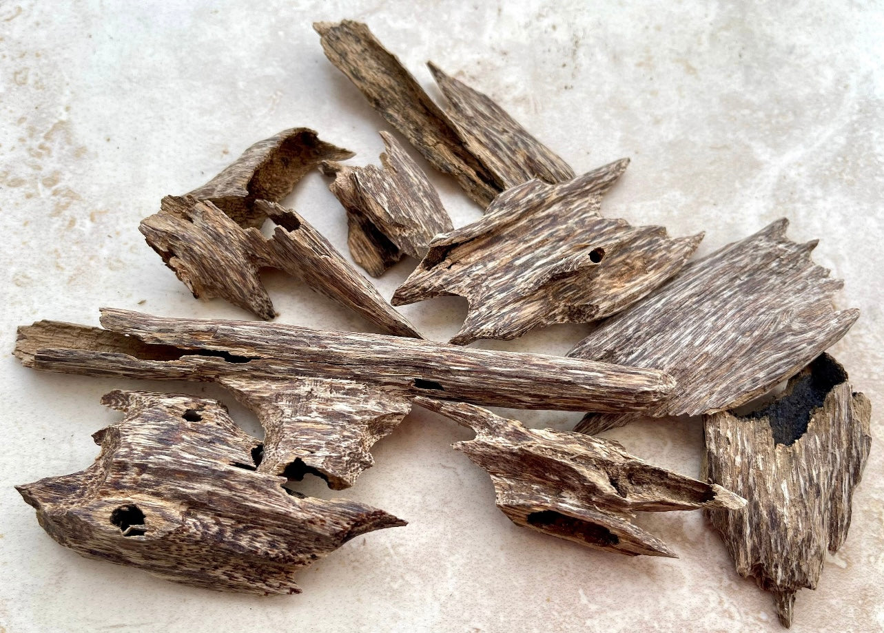 Vietnamese Agarwood pieces on a stone