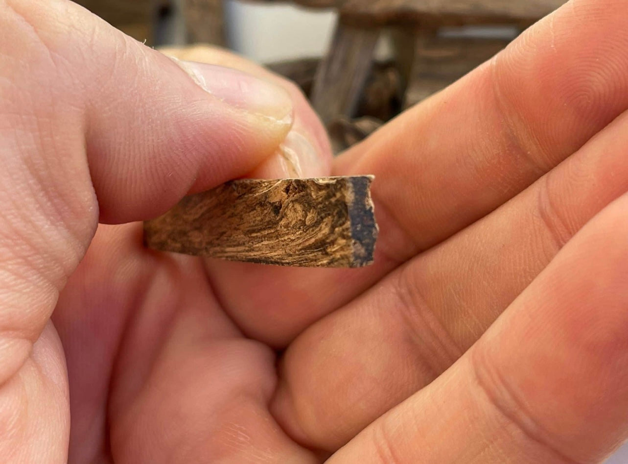 Man holding a piece of tarakan Agarwood