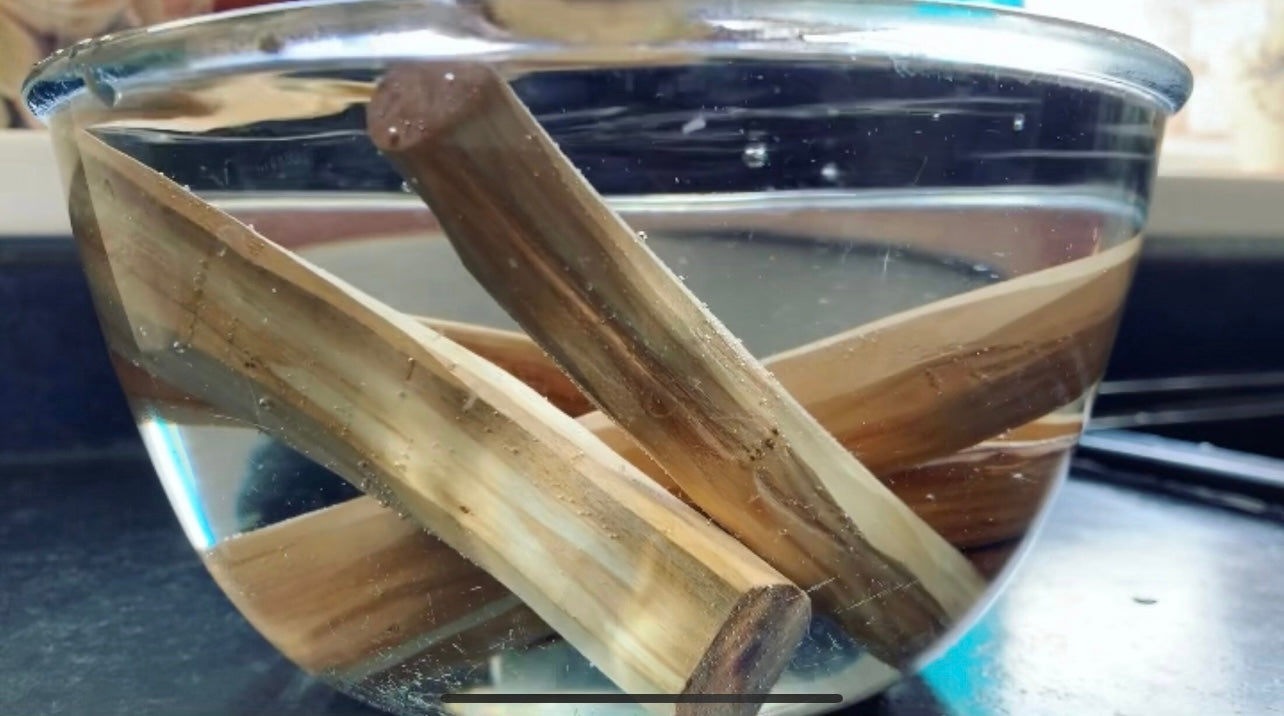 Stinking grade Sandalwood logs in a bowl of water