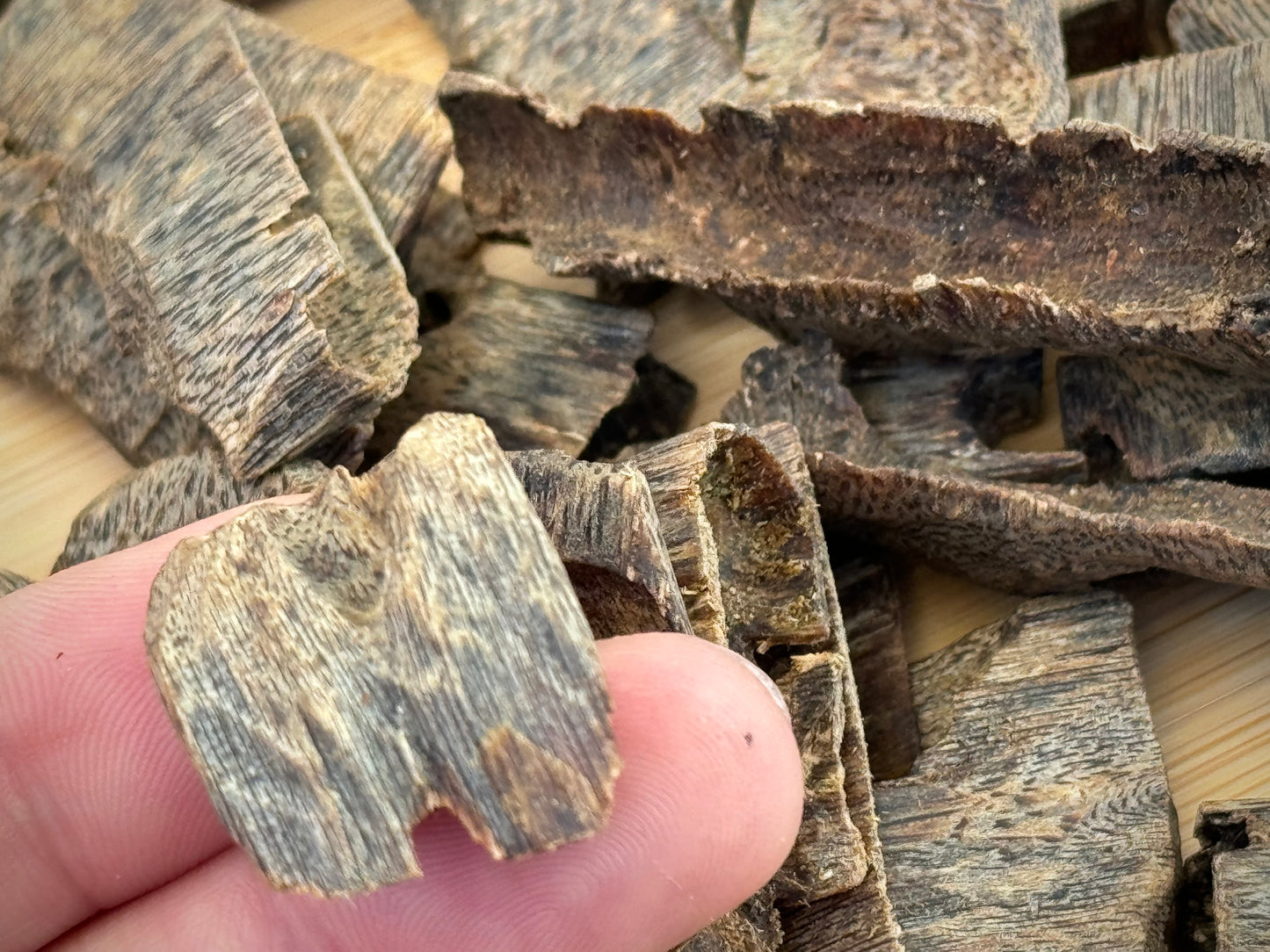 Close-up of sinking Hainan cultivated Kinam Agarwood chips