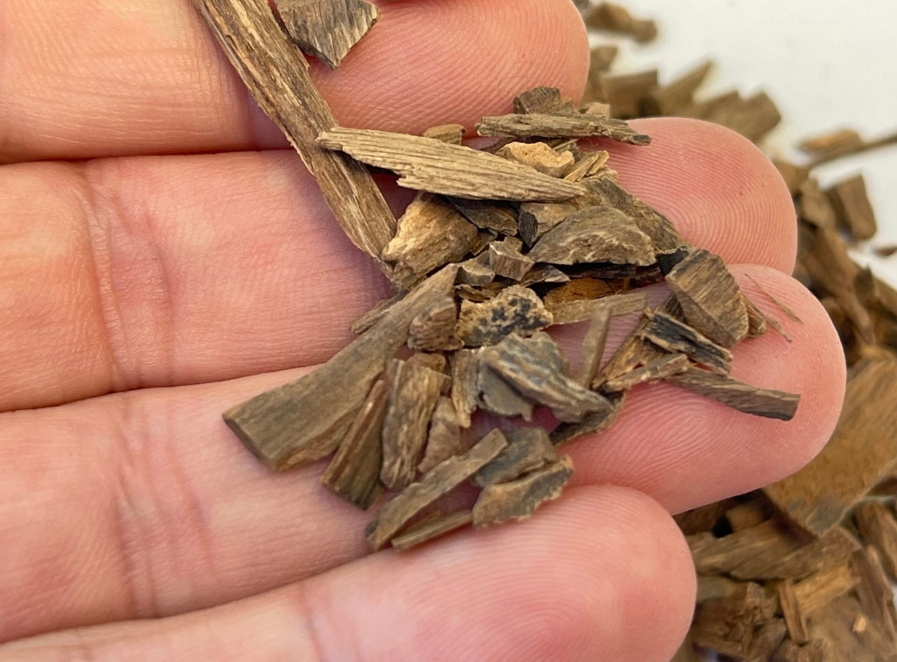 Man, holding small pieces of Papua, new guinea, Agarwood