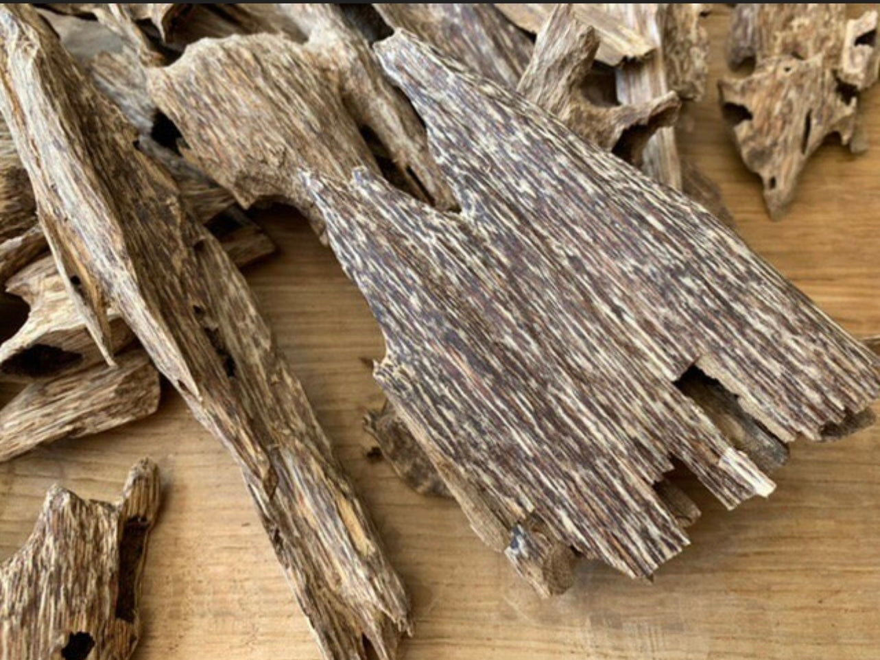 Vietnamese ants nest, Agarwood pieces on a table