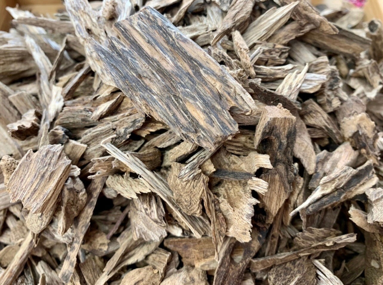 Close up of wild, Kalimantan Agarwood pieces on a table