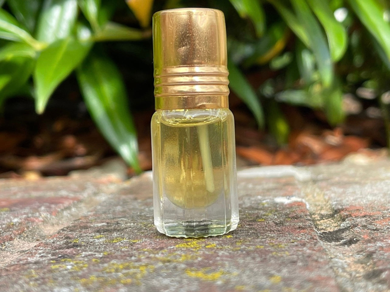 Picture of a bottle of Indian Sandalwood essential oil on a brick outside