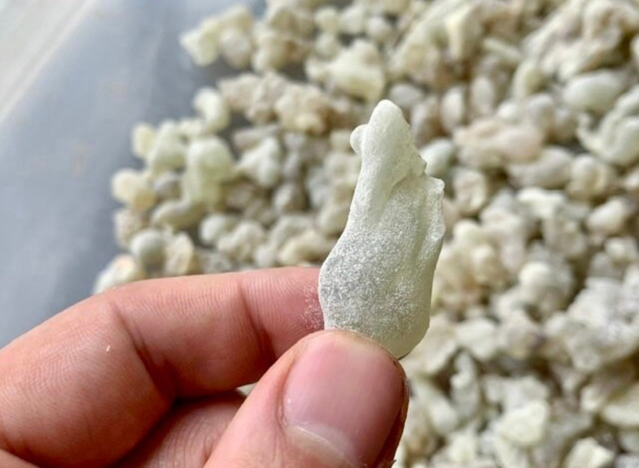 Man holding a large piece of royal Green Hojari frankincense 