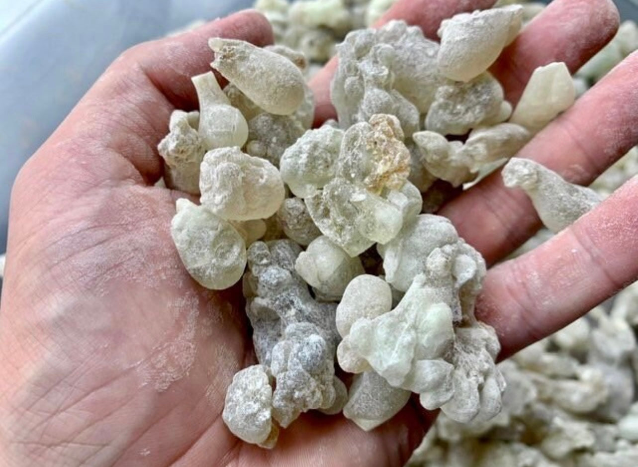 Man, holding handful of Hojari frankincense resin pieces