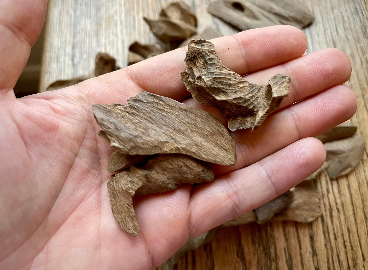 Chips de bois d'agar de Papouasie (lot 1)