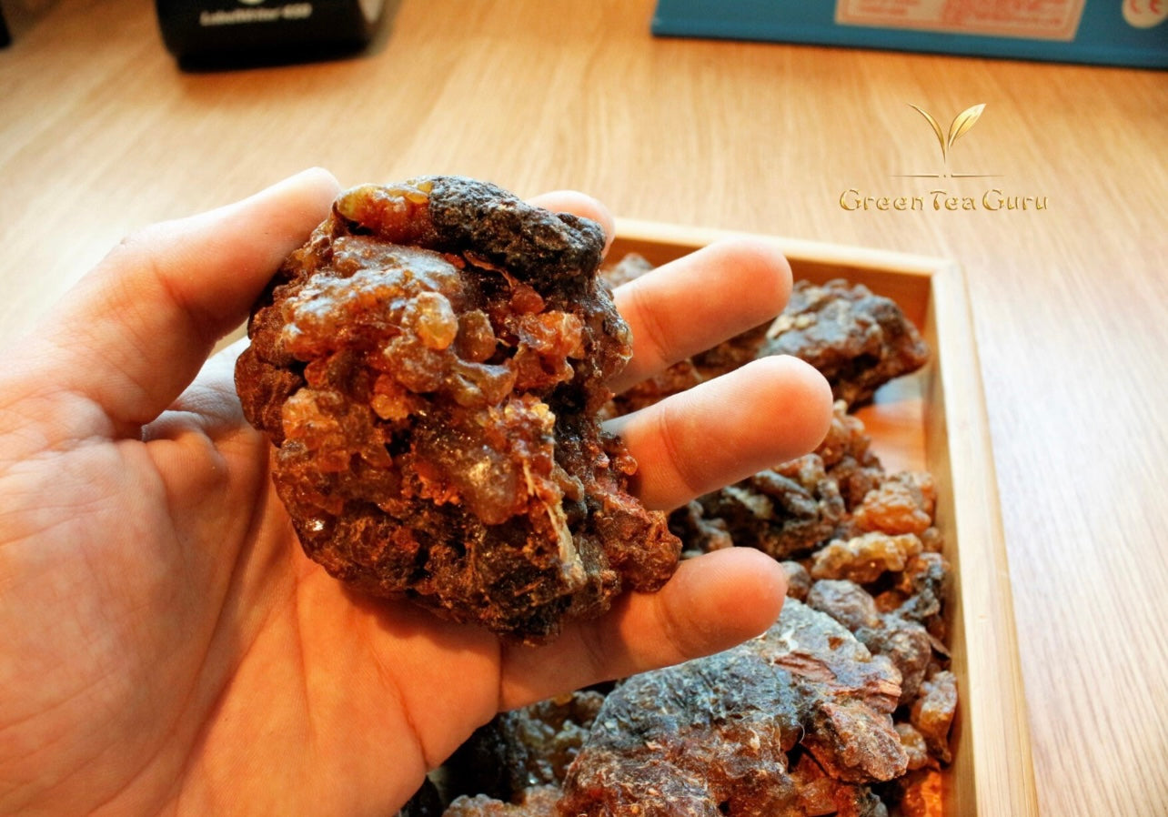 Man holding large piece of Yemen myrrh