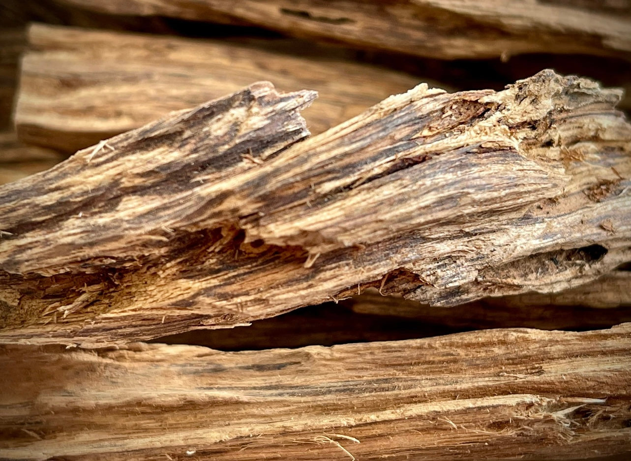 Sri Lanka Agarwood